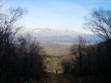 28. povratak
